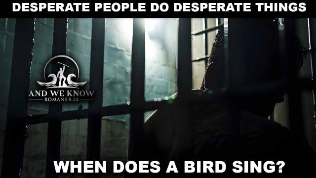 And We Know 8.6.2025: Desperate People Do Desperate Things, When Does A Bird Sing? Bo Testimony, Sessions, Popcorn