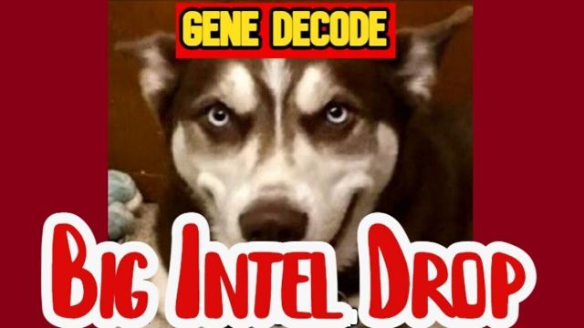 Gene Decode Big Intel 6.5.26 - It’s About to Get Crazy